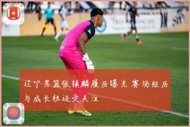 辽宁男篮张镇麟履历曝光 赛场经历与成长轨迹受关注