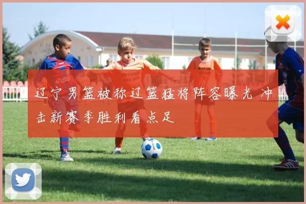 辽宁男篮被称辽篮猛将阵容曝光 冲击新赛季胜利看点足