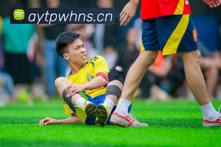 九游app入口平台生态图