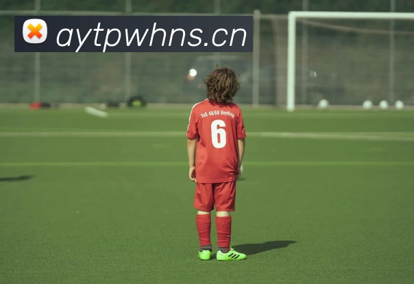 九游app入口全站App 九游app入口全站App